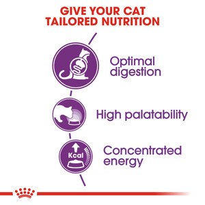 ROYAL CANIN® Sensible 33 10kg